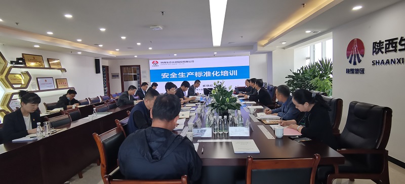 生態(tài)水泥公司組織開展安全生產(chǎn)標準化培訓(xùn)會