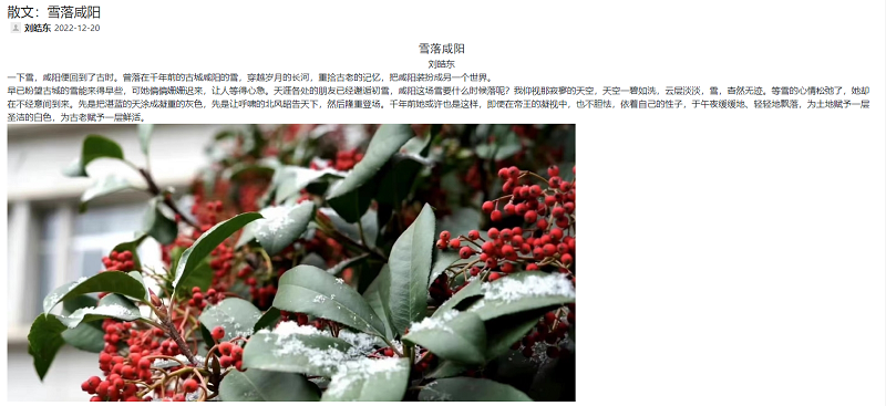 奮進(jìn)陜煤 | 散文：雪落咸陽(yáng)