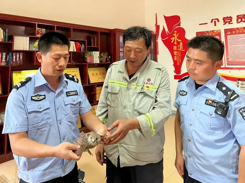 暖心！富平公司與薛鎮(zhèn)派出所攜手成功救助國家二級(jí)保護(hù)動(dòng)物